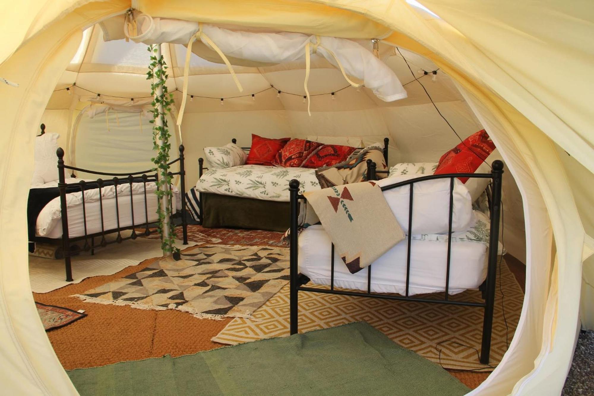 Tal-Y-Fan Farm 6M Stargazer Tent ブリジェンド エクステリア 写真